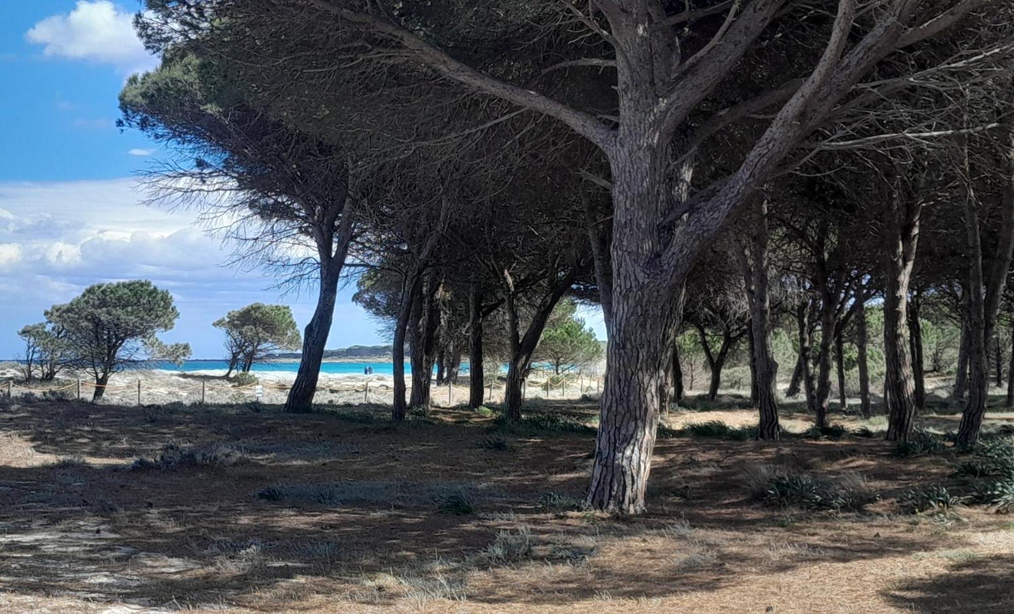 Resort Abbaia Ba Budoni Exterior foto